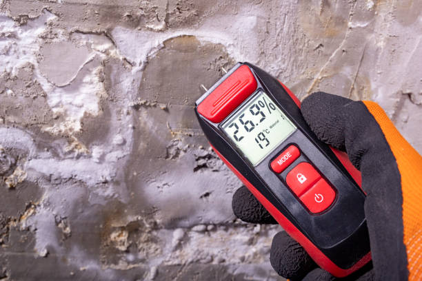 Best Professional Mold Removal  in Wadsworth, IL