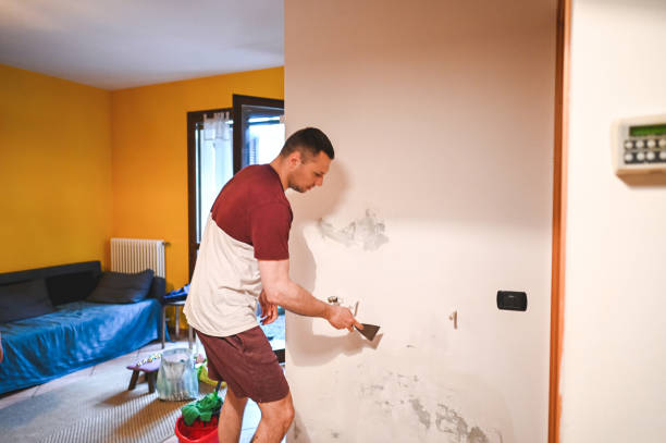 Best Mold Removal Company Near Me  in Wadsworth, IL